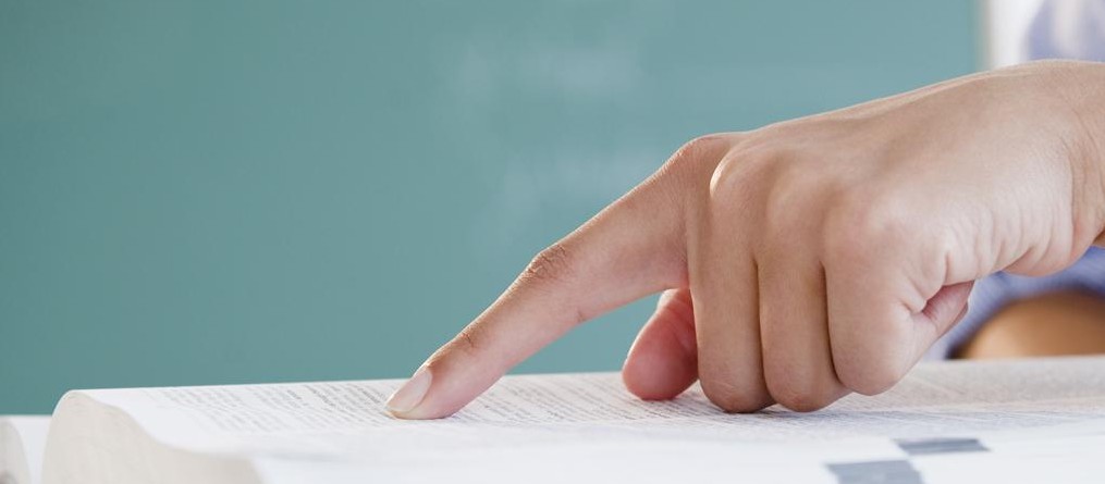 UMUDA DİKİLEN LALE